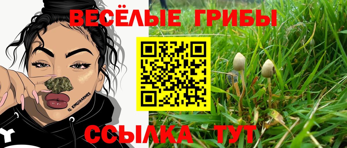 Галлюциногенные грибы Psilocybe  Вход с VPN  Воскресенск 